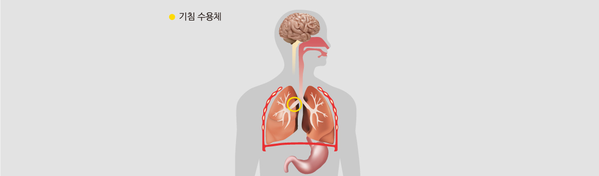 기관지 천식으로 인한 기침