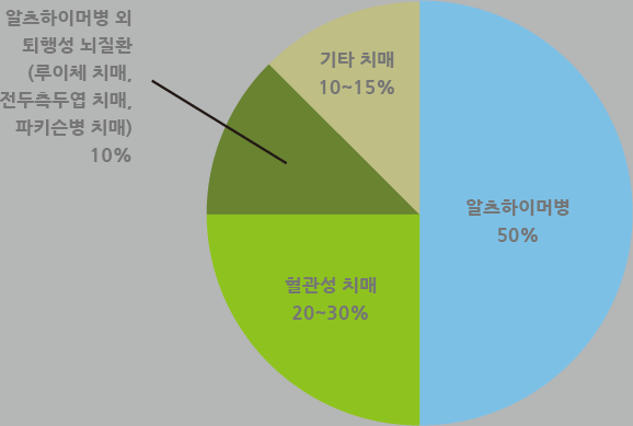 알츠하이머병:50%,혈관성치매:20~30%,기타 치매:10~15%,알츠하이머병 외 퇴행성 뇌질환(루이체 치매,전두측두엽 치매,파키슨병 치매)10%