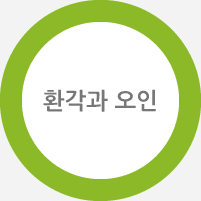 환각과 오인