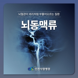 사망률이 50~60%에 이르는 뇌동맥류