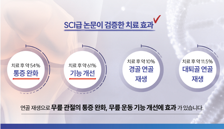 %EB%B3%B8%EB%AC%B8%EB%A6%AC%ED%94%8C%EB%A0%9B%2C%20%EA%B2%8C%EC%8B%9C%EB%AC%BC-05.jpg