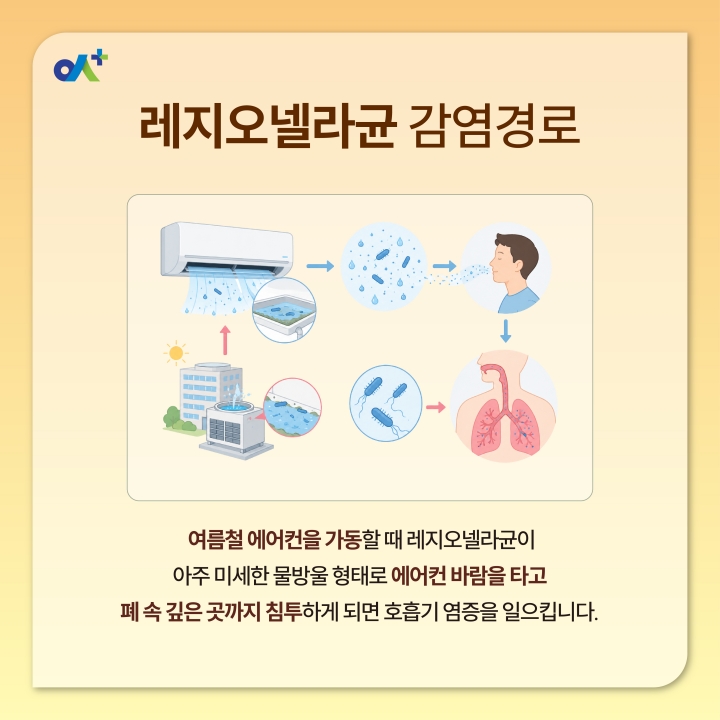 %EB%B3%B8%EB%AC%B8KakaoTalk_20260708_133455138_02.jpg