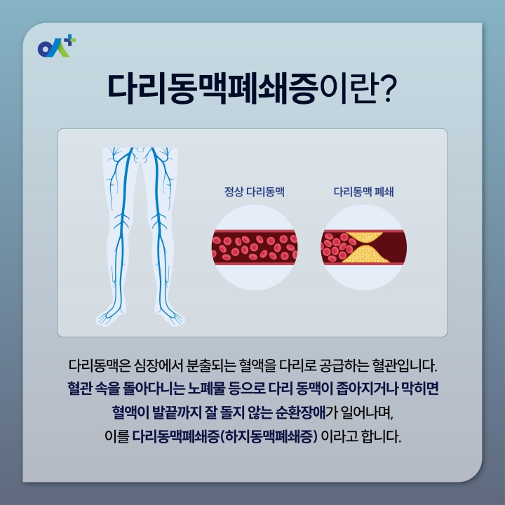 %EB%B3%B8%EB%AC%B8KakaoTalk_20260724_092721895_01.jpg